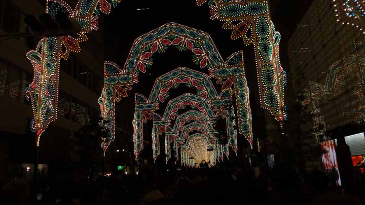 This picture is for quick loading of picture.