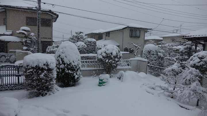 This picture is for quick loading of picture.