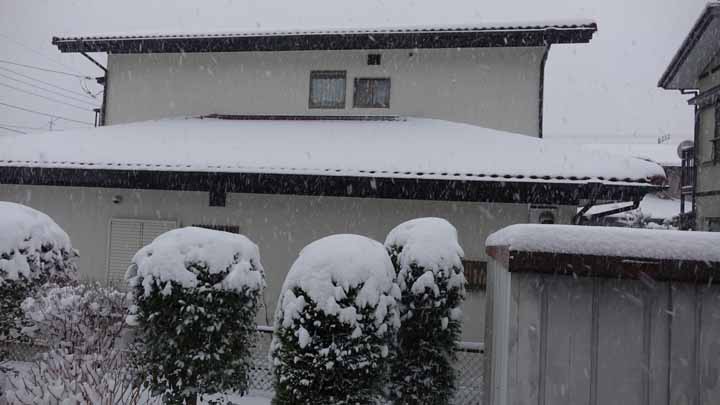 This picture is for quick loading of picture.